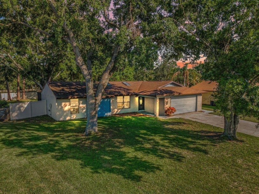 RARE OVERSIZED LOT IN HIGHLY DESIRABLE OLDSMAR! Nestled in a - Beach Home for sale in Oldsmar, Florida on Beachhouse.com
