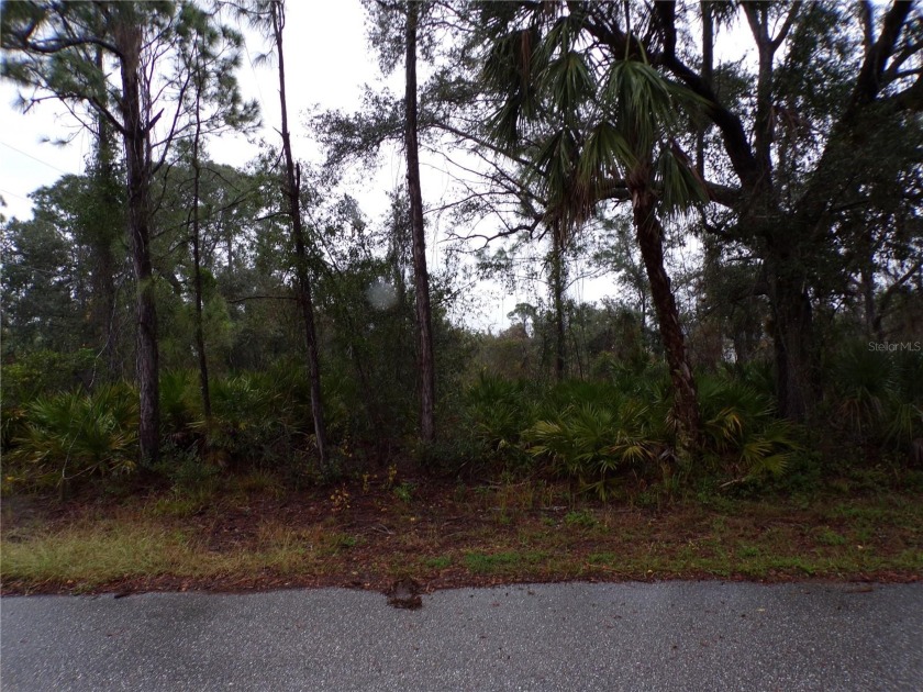 This lot is on a quiet street that would be a great place to - Beach Lot for sale in Port Charlotte, Florida on Beachhouse.com