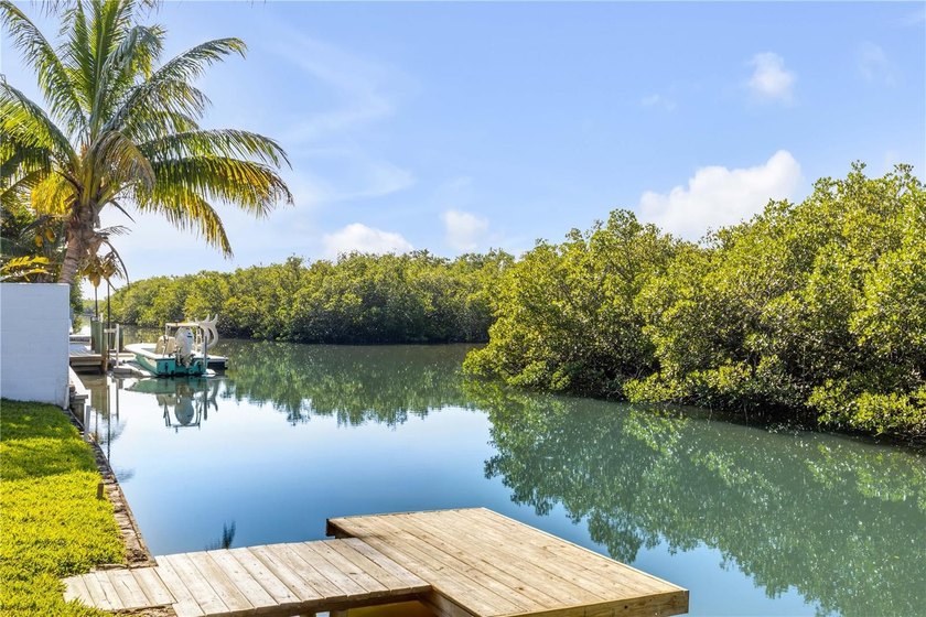 Lowest price waterfront with dock on beachside! Direct - Beach Home for sale in New Smyrna Beach, Florida on Beachhouse.com