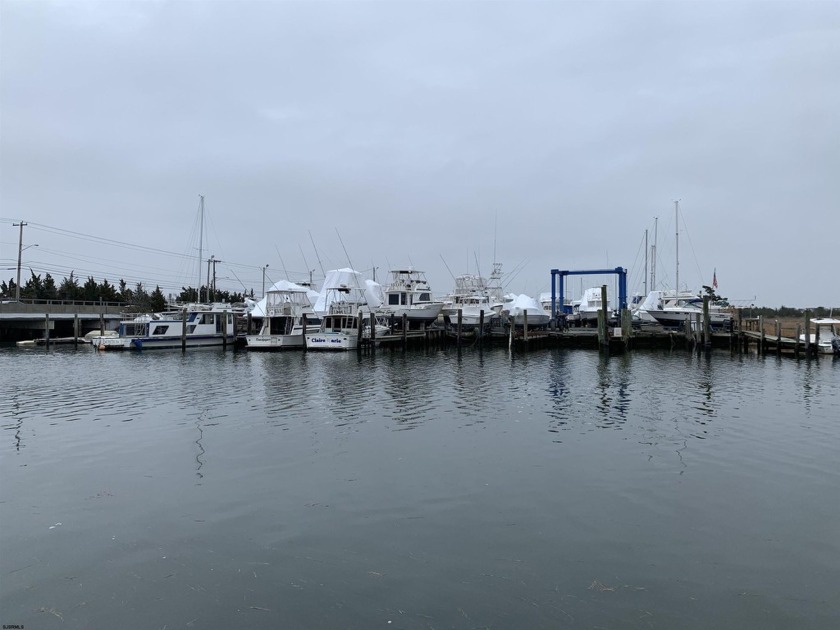 Established Marina with substantial road frontage.  Floating - Beach Commercial for sale in Egg Harbor Township, New Jersey on Beachhouse.com