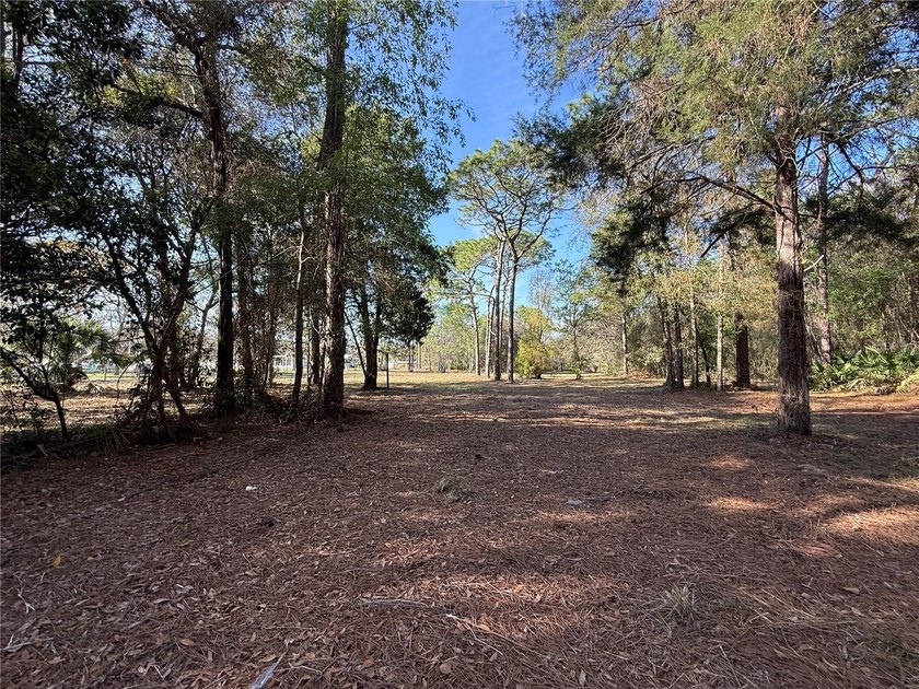 2.63-Acres Nature Coast Sanctuary |TOTAL OF 4 PARCELS
4 Platted - Beach Acreage for sale in Homosassa, Florida on Beachhouse.com