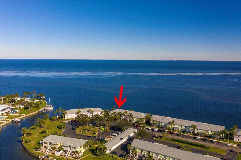 SPECTACULAR OPEN WATER VIEW! This gorgeous ground floor 2 - Beach Condo for sale in St. Petersburg, Florida on Beachhouse.com