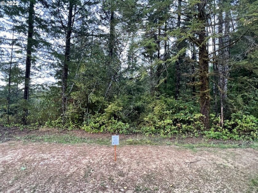 Build your dream home in beautiful tranquil Cedar Ridge on - Beach Lot for sale in Florence, Oregon on Beachhouse.com