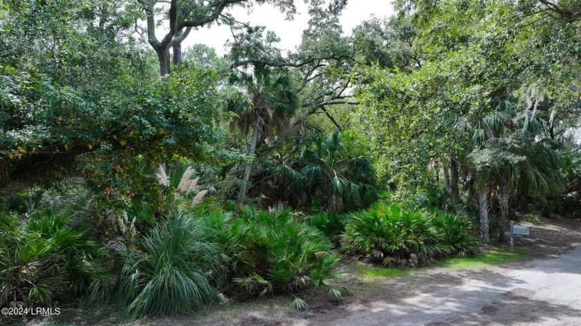 This oversized lot offers the perfect opportunity to build your - Beach Lot for sale in Fripp Island, South Carolina on Beachhouse.com