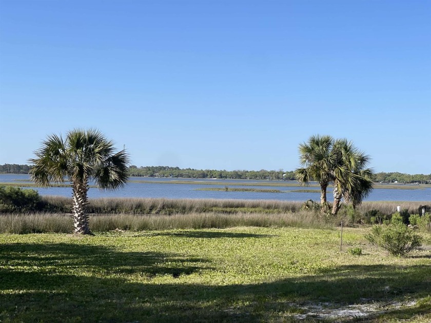 Coastal Living at Its Best Nestled along the serene shores of - Beach Lot for sale in Alligator Point, Florida on Beachhouse.com