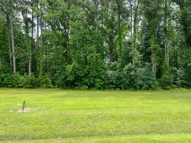 Beautiful, large wooded homesite in Arlington Place.  Over 1 - Beach Lot for sale in Minnesott Beach, North Carolina on Beachhouse.com