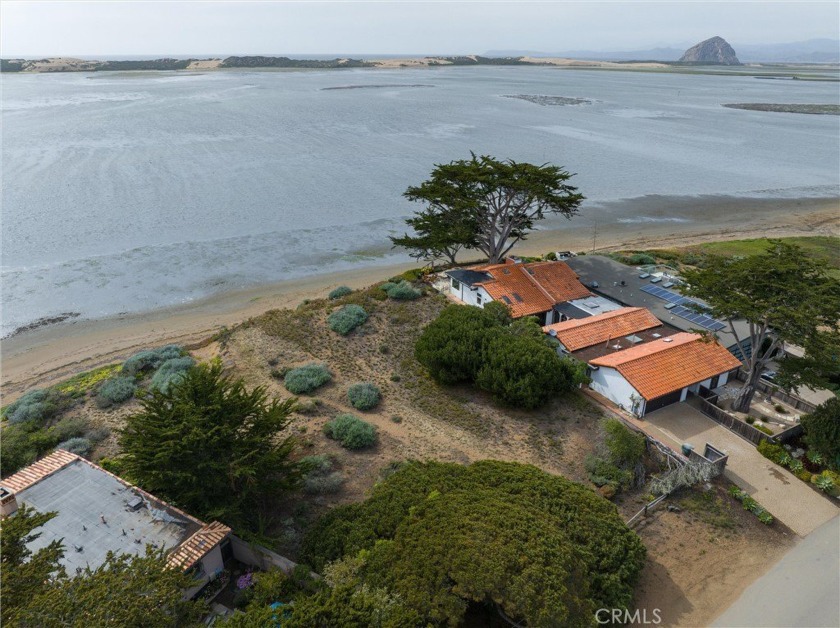 Your Piece of the Block and a fine piece it is. Over 0.25 Morro - Beach Lot for sale in Los Osos, California on Beachhouse.com