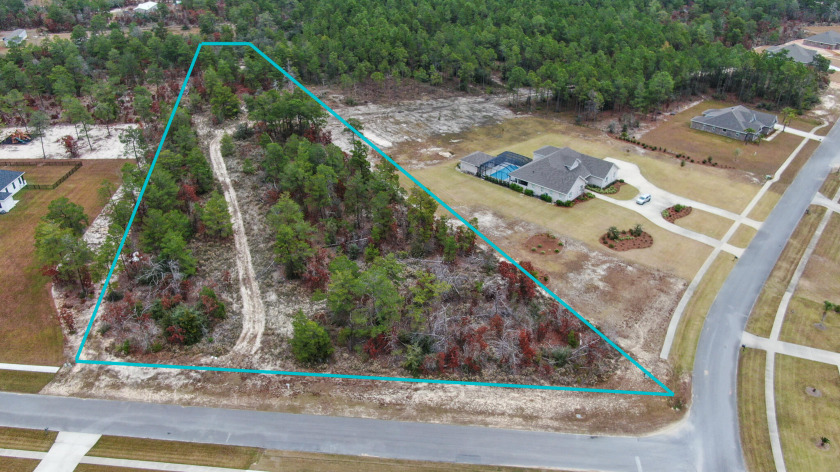 One of the very few premium perimeter lots left in Windswept - Beach Acreage for sale in Freeport, Florida on Beachhouse.com