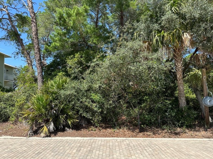 Here's your chance to own a piece of WATER VIEW HEAVEN in Cedar - Beach Lot for sale in Cedar Key, Florida on Beachhouse.com