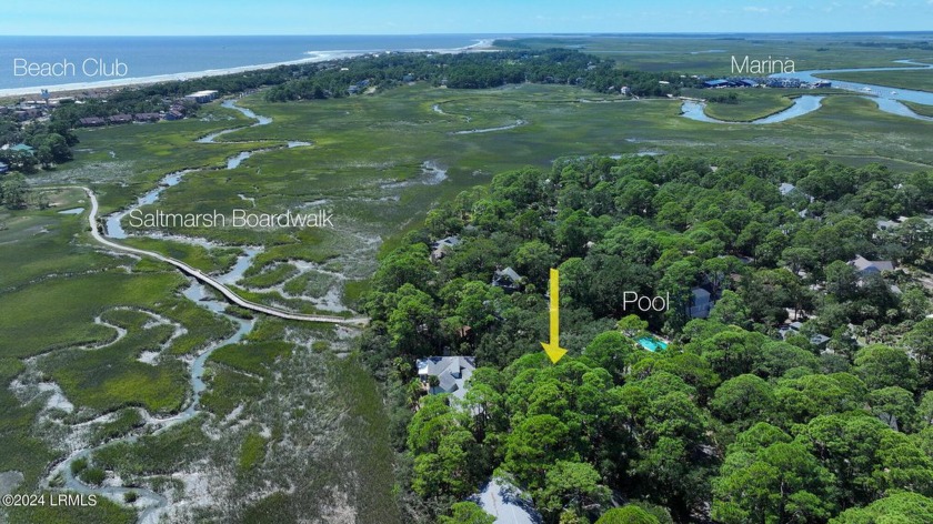 Rare opportunity to own a homesite with marsh views and a quiet - Beach Lot for sale in Fripp Island, South Carolina on Beachhouse.com