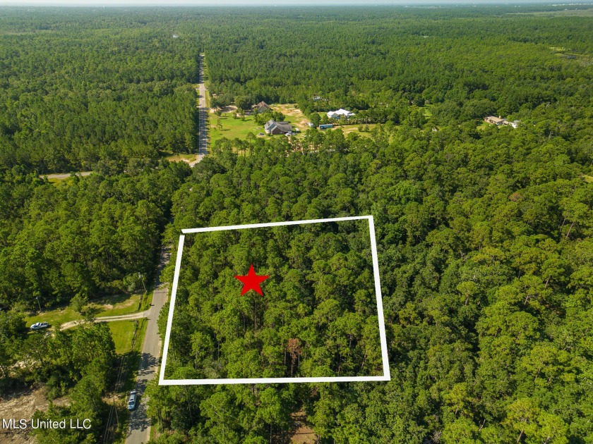 Discover the perfect canvas for your dream project with this - Beach Lot for sale in Pass Christian, Mississippi on Beachhouse.com