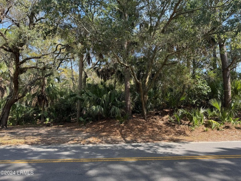 This high and dry lot is located on beautiful Fripp Island. This - Beach Lot for sale in Fripp Island, South Carolina on Beachhouse.com