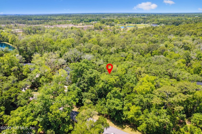 Build your dream home on this rare estate-sized homesite in the - Beach Lot for sale in Fernandina Beach, Florida on Beachhouse.com