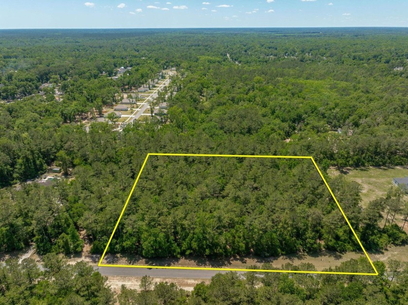 Build your forever homestead-or just finally get some space to - Beach Acreage for sale in Crawfordville, Florida on Beachhouse.com