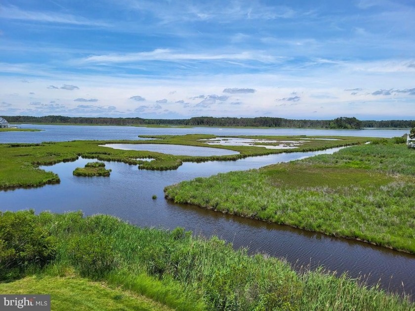 Water, Wetlands & Wildlife...OH MY! Nestled on a quiet - Beach Townhome/Townhouse for sale in Selbyville, Delaware on Beachhouse.com