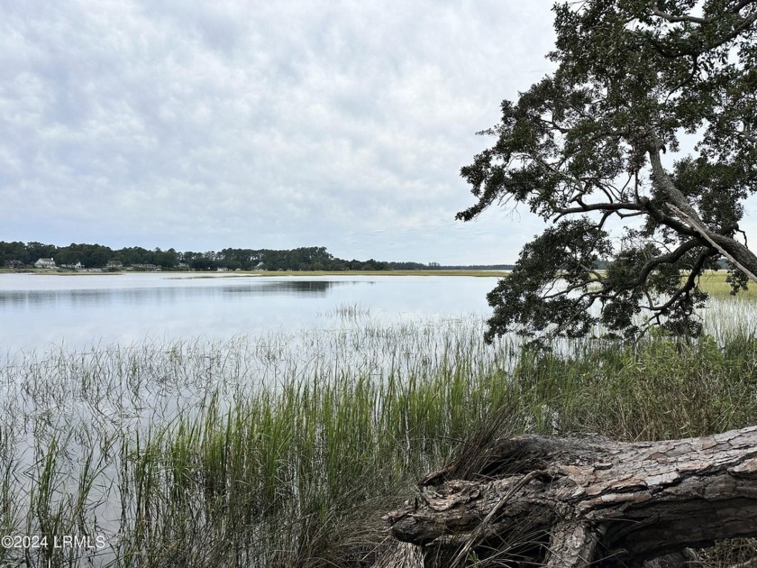 Waterfront property in Beaufort SC. This land has a conservation - Beach Acreage for sale in Seabrook, South Carolina on Beachhouse.com