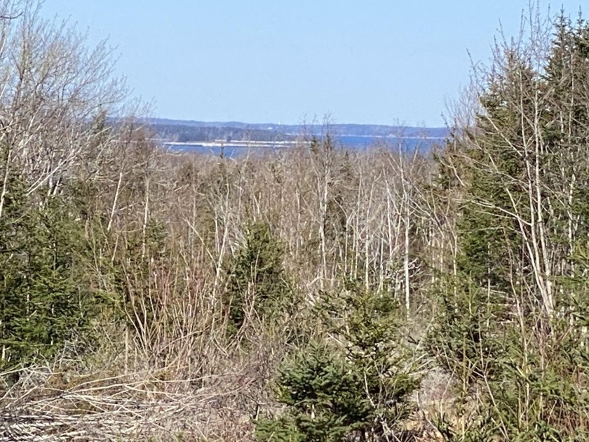 The lots are situated 12 miles from Damariscotta, 2 miles from - Beach Lot for sale in Bristol, Maine on Beachhouse.com