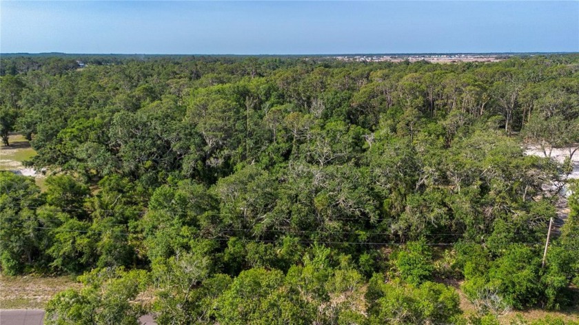2.71 ACRES X FLOOD ZONE! BUILD TO SUIT in the DESIREABLE RIVER - Beach Acreage for sale in Wimauma, Florida on Beachhouse.com