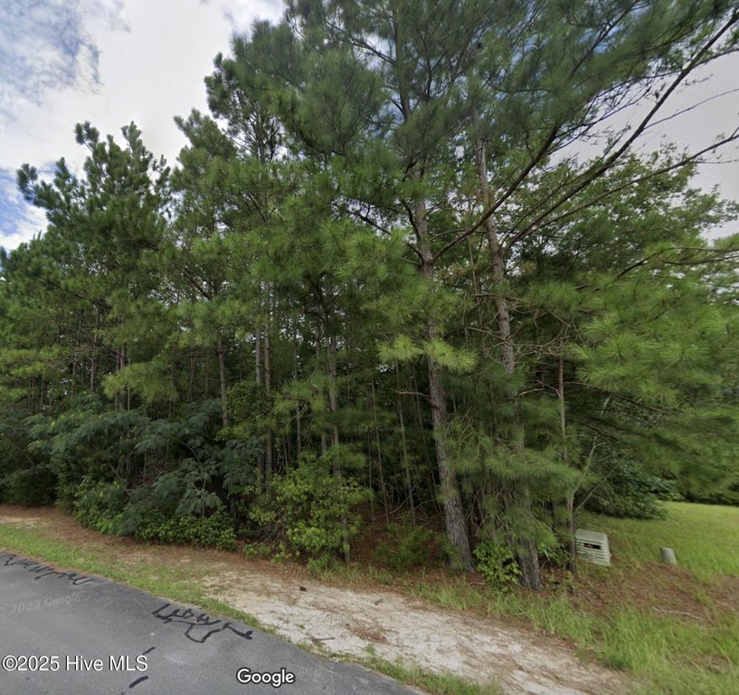 Beautiful residential lot available in - Beach Lot for sale in Havelock, North Carolina on Beachhouse.com