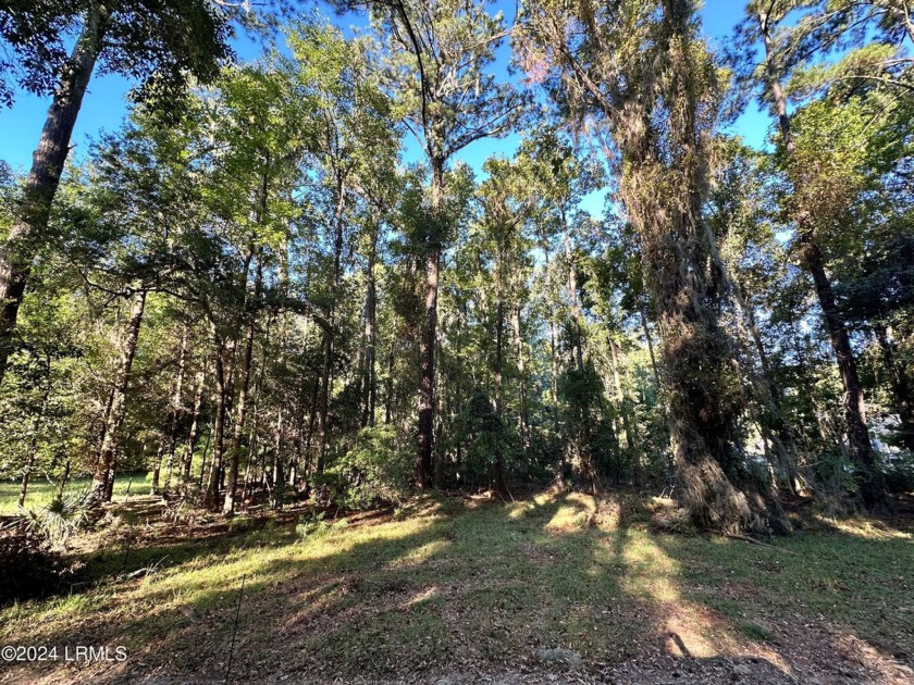 Rarely does an estate lot of this size come to market on Lady's - Beach Acreage for sale in Beaufort, South Carolina on Beachhouse.com