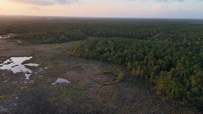 This large property presents a rare opportunity for a coastal - Beach Acreage for sale in Bay Saint Louis, Mississippi on Beachhouse.com