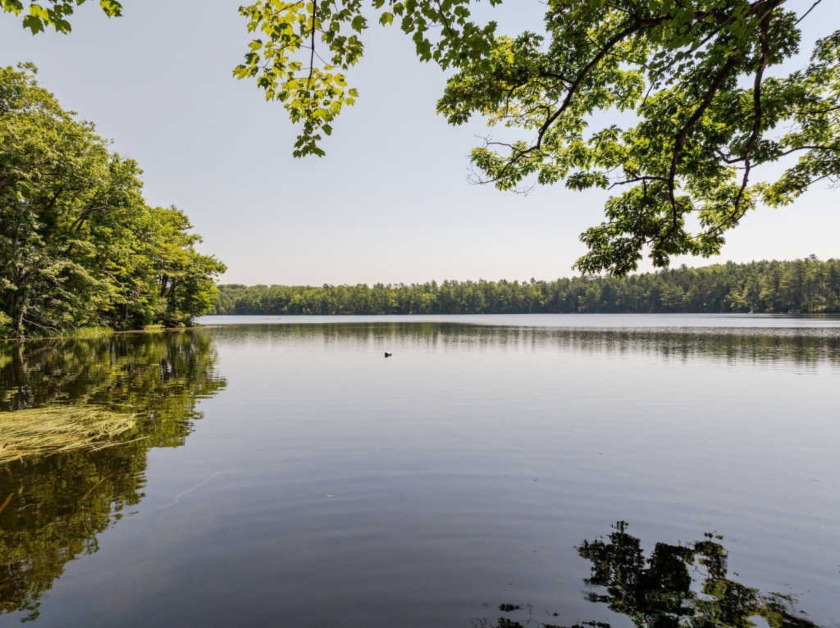 Welcome to your dream sanctuary with frontage on the tranquil - Beach Home for sale in Bremen, Maine on Beachhouse.com