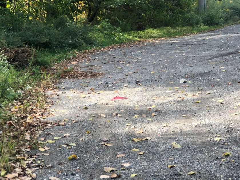 Prime Commercial Opportunity in the Heart of Kent - .23 Acre Lot - Beach Lot for sale in Kent, New York on Beachhouse.com