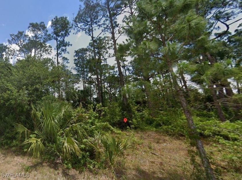 This is your opportunity to purchase this lot at well below its - Beach Lot for sale in Lehigh Acres, Florida on Beachhouse.com