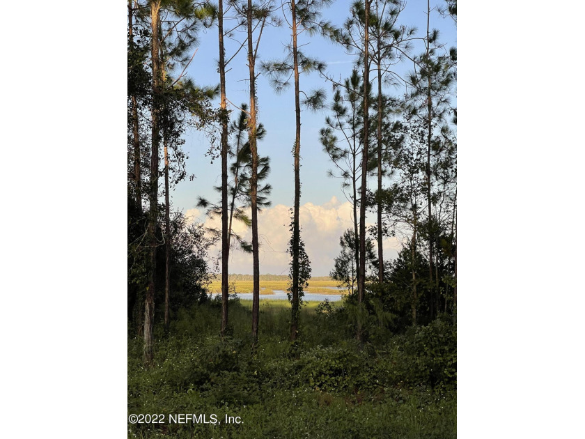Paradise with marsh views. Bring your Builder. The lot is - Beach Lot for sale in ST Augustine, Florida on Beachhouse.com