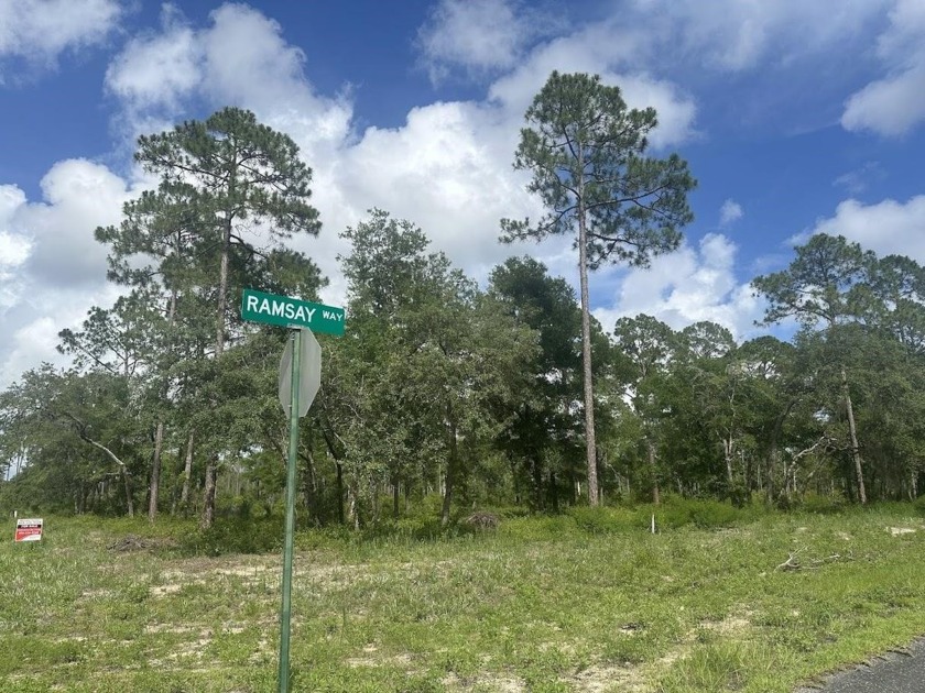 Beautiful 1.15 acres partially cleared private setting with lots - Beach Lot for sale in Panacea, Florida on Beachhouse.com