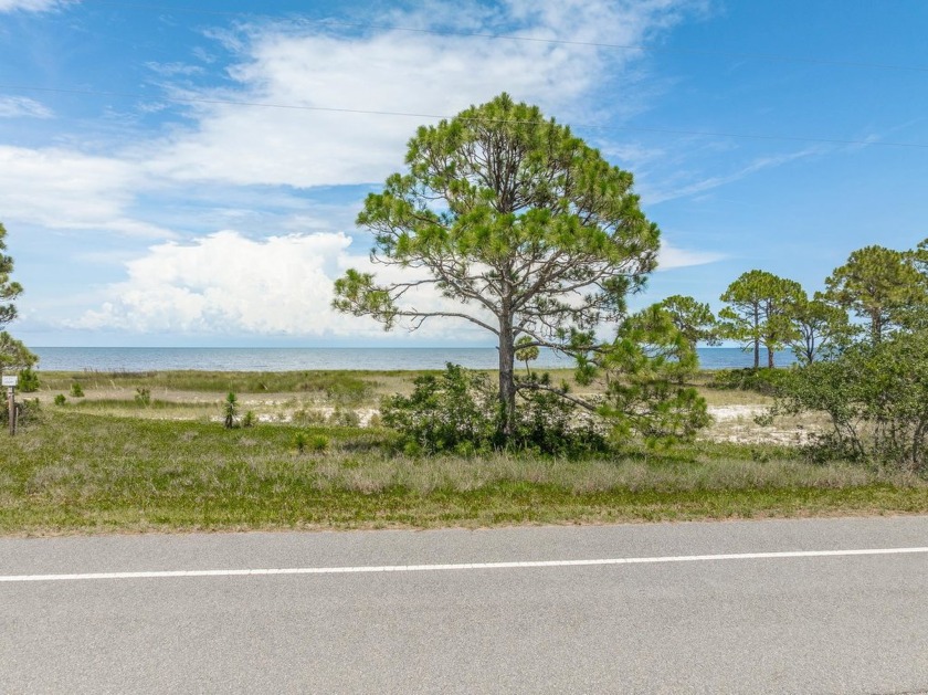 Nearly one acre of untouched Beach/Gulf front land that has been - Beach Lot for sale in Alligator Point, Florida on Beachhouse.com