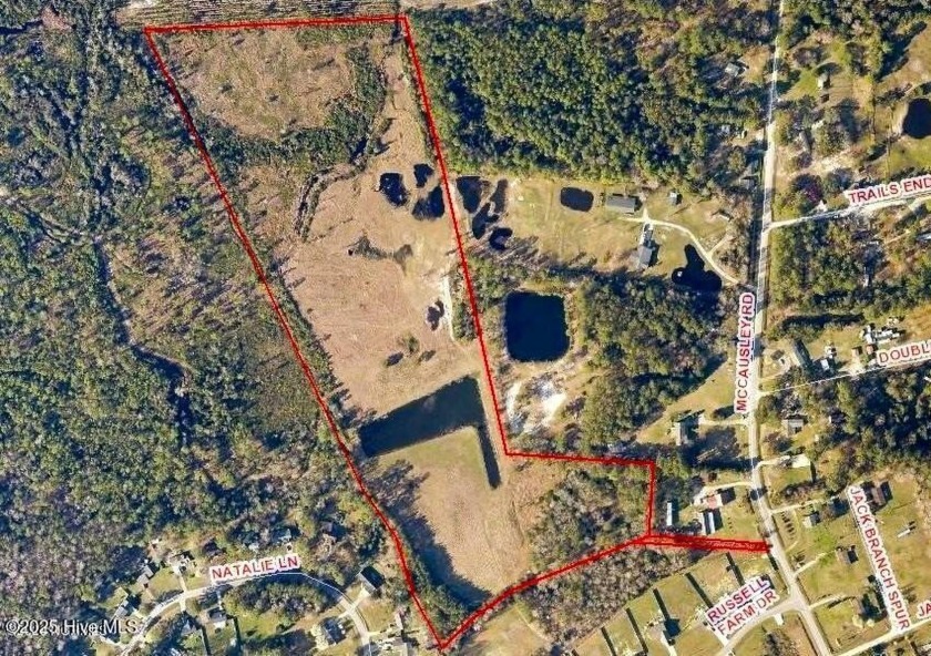 Exceptional opportunity to own 25.12 acres of predominately - Beach Acreage for sale in Hubert, North Carolina on Beachhouse.com