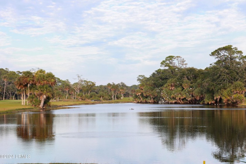 Maybe the most unique lot setting on Fripp Island. Last lot at - Beach Lot for sale in Fripp Island, South Carolina on Beachhouse.com