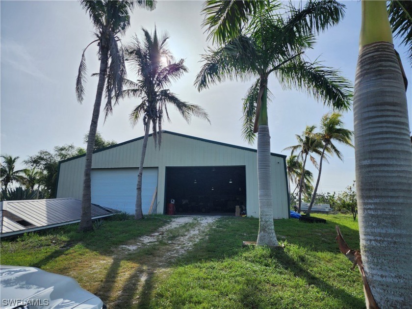 Pine Island - Income Producing Business 224 Acre Mango Farm for - Beach Acreage for sale in Bokeelia, Florida on Beachhouse.com