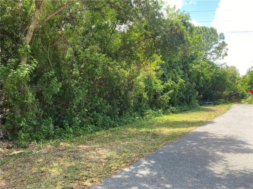 Rare find. Prime double lot nestled at the end of a Cul-De-Sac! - Beach Lot for sale in Vero Beach, Florida on Beachhouse.com