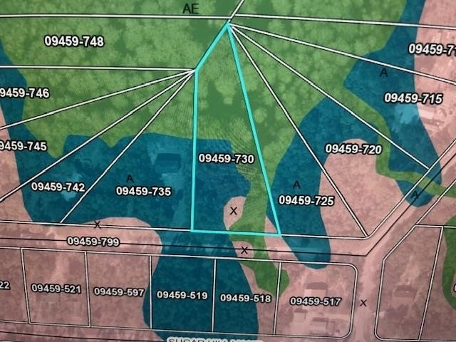 Vacant lot in Steinhatchee on Oak Pond! Looking for the perfect - Beach Lot for sale in Steinhatchee, Florida on Beachhouse.com