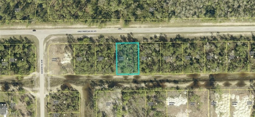 *DUPLEX LOT* IN THE RAPIDLY GROWING CITY OF LEHIGH ACRES. Access - Beach Lot for sale in Lehigh Acres, Florida on Beachhouse.com