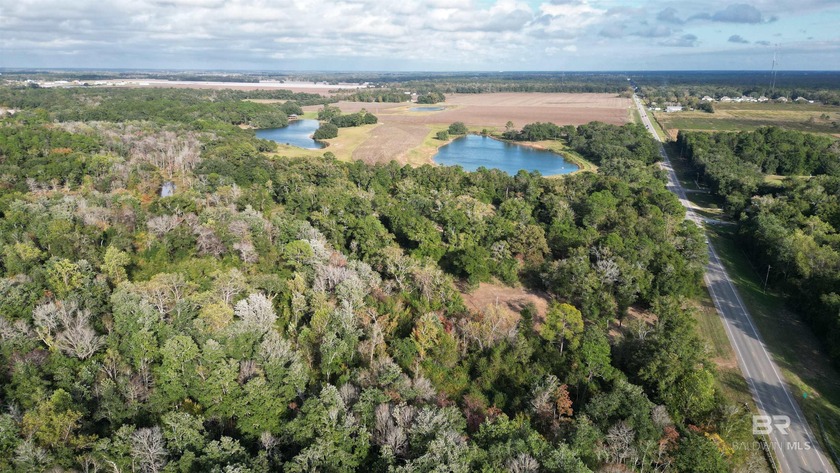 Beautiful residential acreage with mature oaks, located on the - Beach Acreage for sale in Foley, Alabama on Beachhouse.com