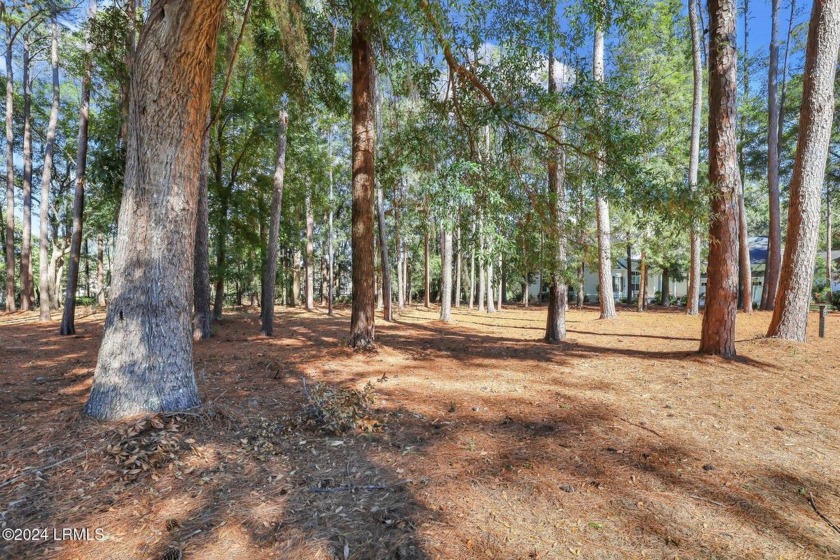 :  Nestled just 1/3 mile from the fitness center & main gate - Beach Lot for sale in Bluffton, South Carolina on Beachhouse.com