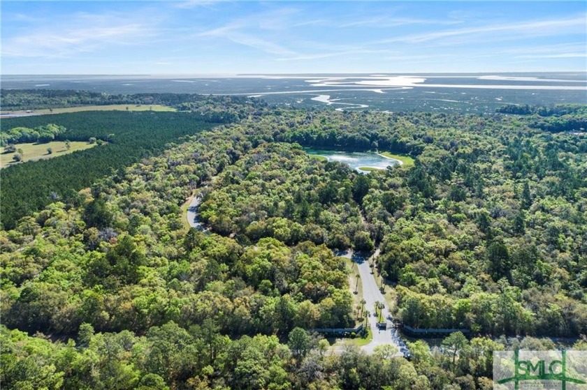 Unspoiled, beautiful with a history dating back into the 1750's - Beach Acreage for sale in Midway, Georgia on Beachhouse.com
