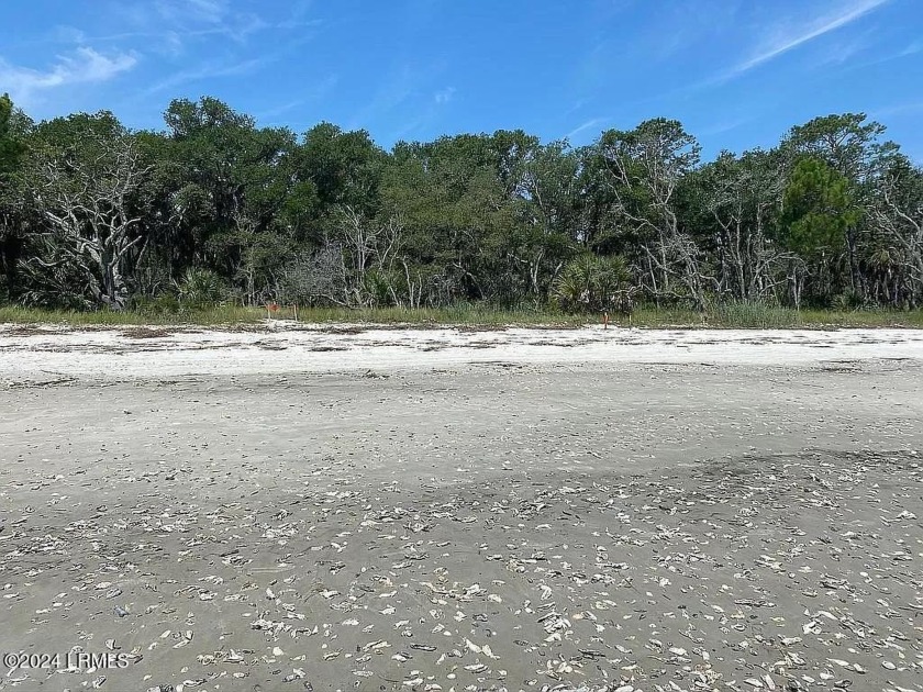 NATURE LOVERS HUGE BEACHFRONT PROPERTY FOR SALE on beautiful - Beach Lot for sale in Saint Helena Island, South Carolina on Beachhouse.com