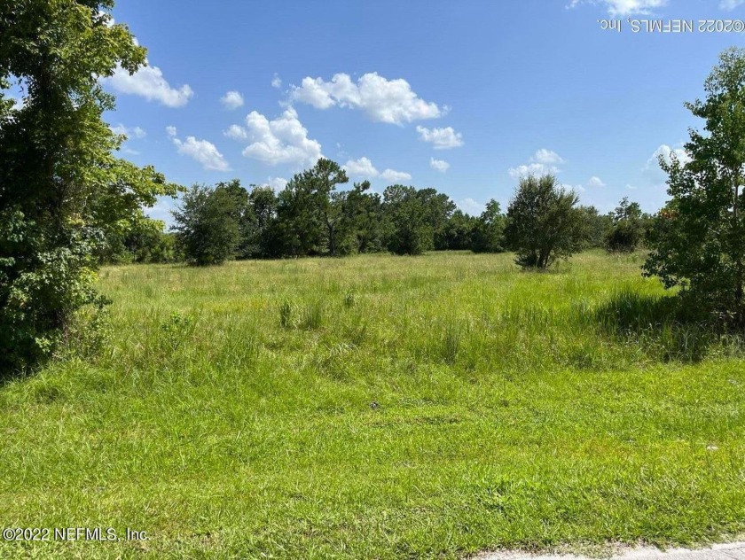 COME LOOK AT THIS AMAZING 5 ACRES TODAY!!!Beautiful 5 acres of - Beach Acreage for sale in ST Augustine, Florida on Beachhouse.com