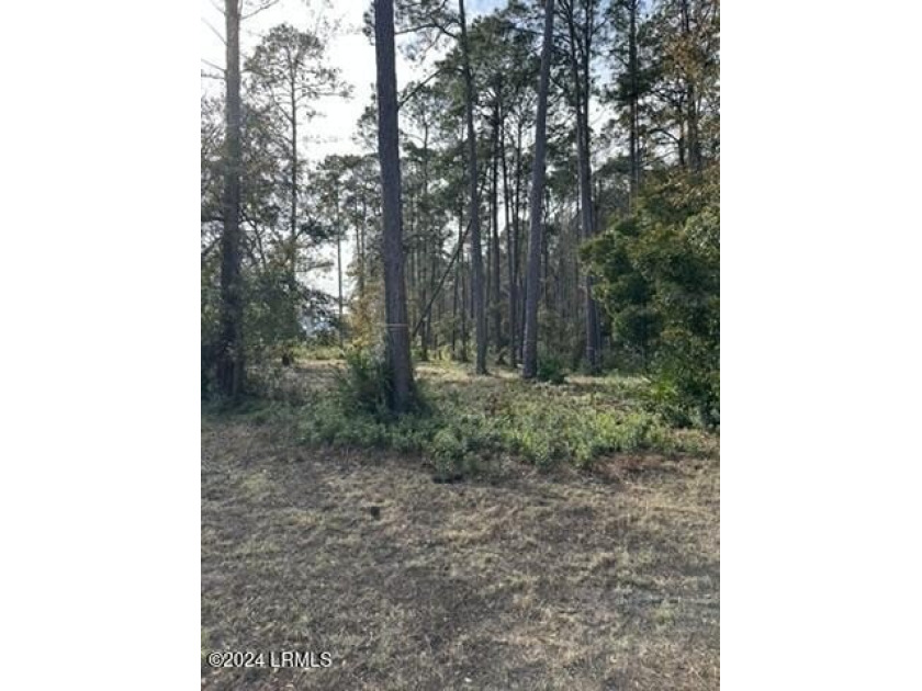 Beautiful wooded .4-Acre lot near the gate in the River Road - Beach Lot for sale in Bluffton, South Carolina on Beachhouse.com