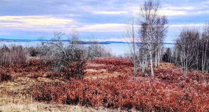 95+- acres of pure Maine wilderness with ocean views -- an - Beach Acreage for sale in Robbinston, Maine on Beachhouse.com