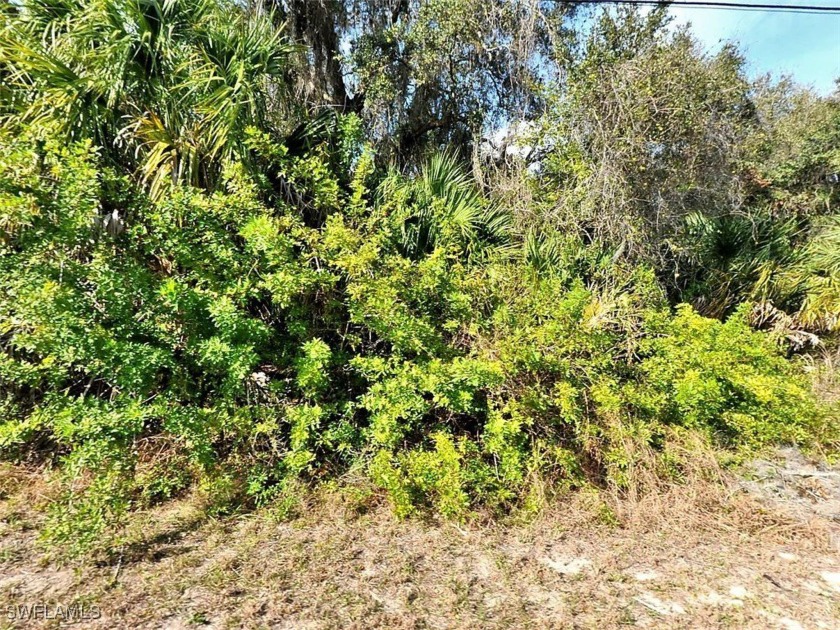 A great lot located near the growing city of North Port, in - Beach Lot for sale in North Port, Florida on Beachhouse.com