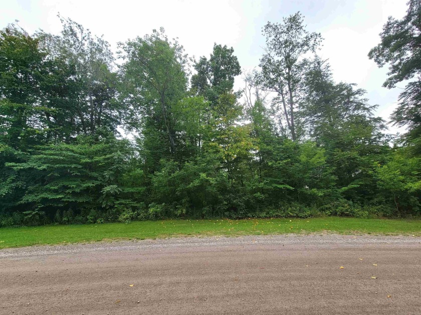 Nicely wooded lot located in a quiet sub only 1 mile south of - Beach Lot for sale in Harbor Beach, Michigan on Beachhouse.com
