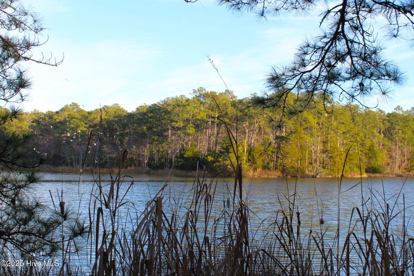 Looking for the perfect waterfront lot to build your coastal - Beach Lot for sale in Havelock, North Carolina on Beachhouse.com
