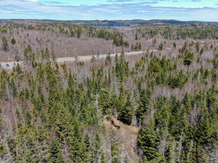 Welcome to a remarkable opportunity to own an expanse of lush - Beach Acreage for sale in Whiting, Maine on Beachhouse.com
