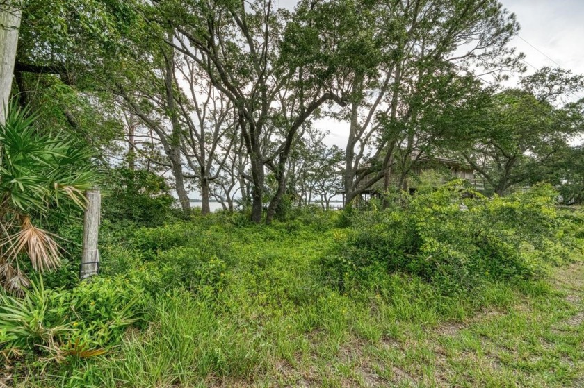 Build your Dream Home and Dock on this bay front lot at - Beach Lot for sale in Alligator Point, Florida on Beachhouse.com