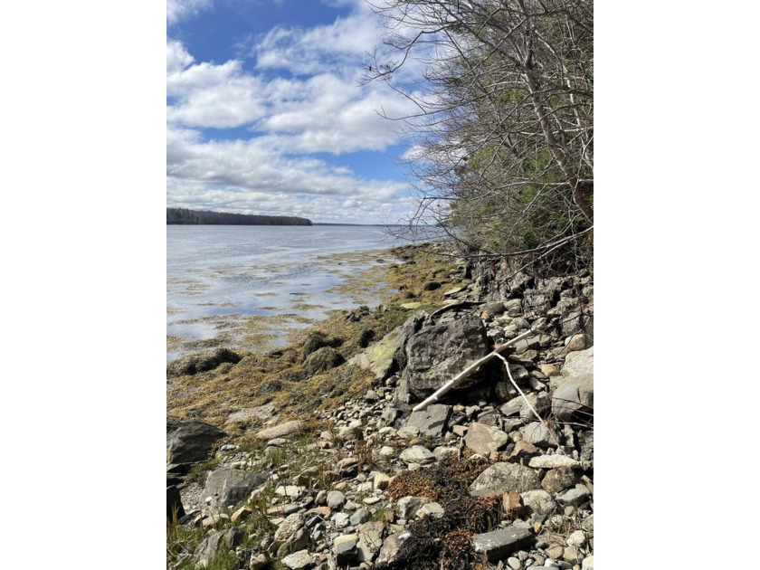 2.77 acre lot with 200' of frontage on the Penobscot River! - Beach Acreage for sale in Stockton Springs, Maine on Beachhouse.com